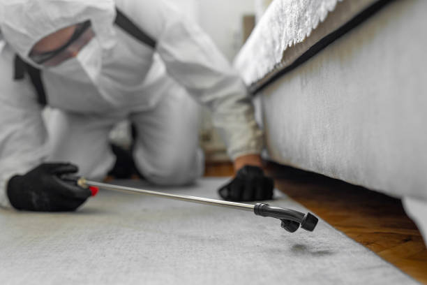 Professional Termite Control technician working in Mountain View Acres, CA