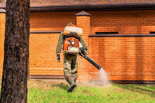 Trusted Fumigation Services service in Mountain View Acres, CA - Nex Pest Control
